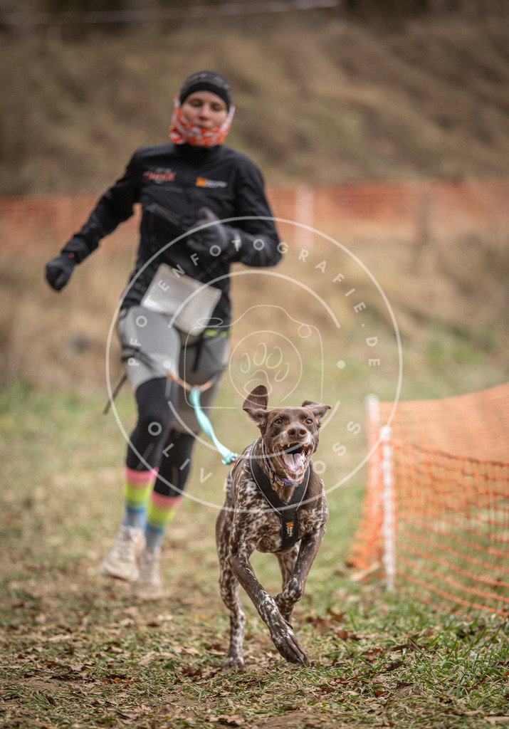 Pfotenfotografie_DV3A7492 | Hundefotografie, Tierfotograf, Pfotenfotografie, Fotoshooting Hund, Hunde Portrait, Hundesport, Hundeportraits, Heideshooting, Hunde, Sportfotograf, Hundefotograf, Turnierhundsport, THS,  - Realisiert mit Pictrs.com