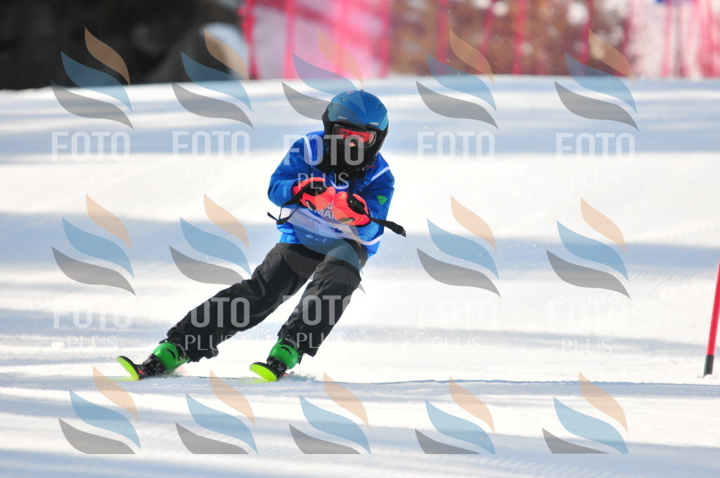 B8772 | holidayphoto