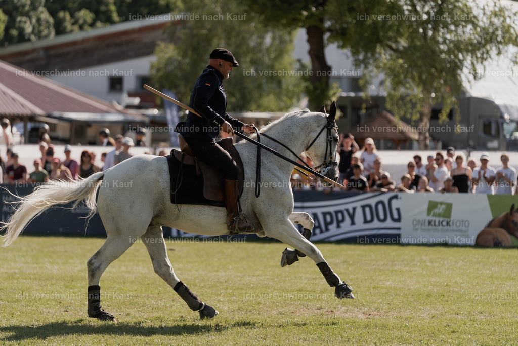 WE_MOS_Stoib_327_PI2025_2312 | Pferd International München 2025