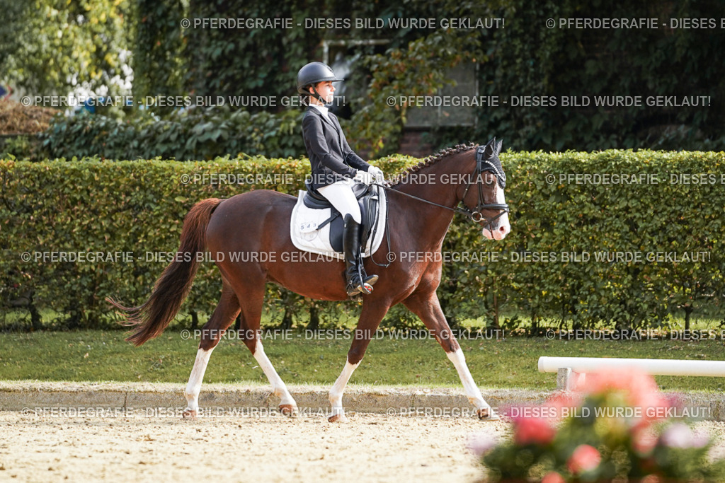 DSC05046 | Pferdegrafie