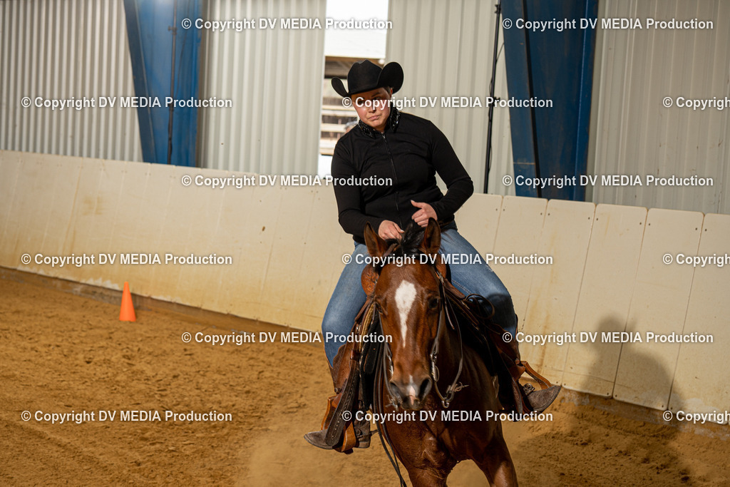 MIT00303 | dv-media-shop - Realisiert mit Pictrs.com