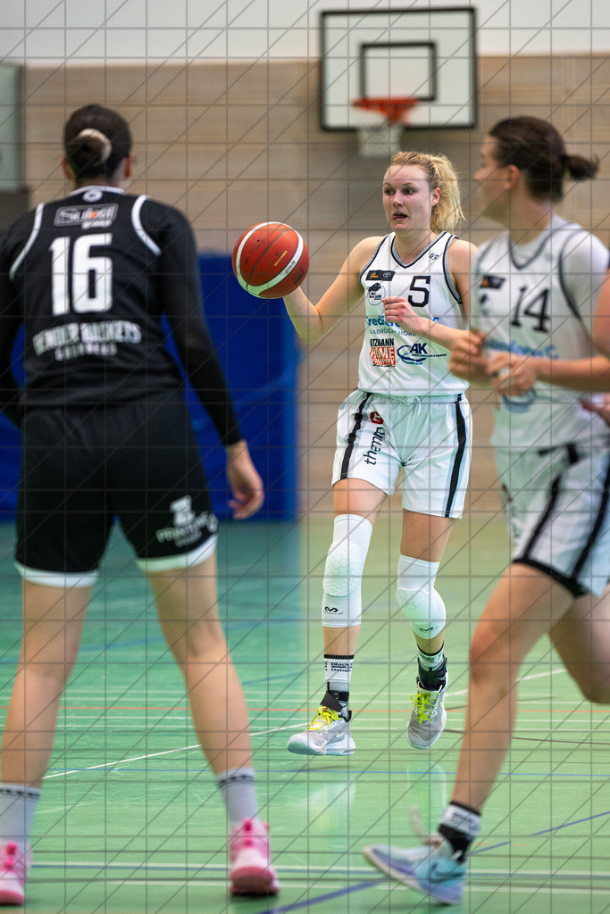 2. DBBL Nord 24/25 | 06.10.2024 | BBC OS vs. Bender Baskets Grünberg | 2. DBBL Nord 24/25 | 06.10.2024 | BBC OS vs. Bender Baskets Grünberg - - - - - CREDIT, www.bullenfotos.de, Martin König, Hörner Weg 40, D-49078 Osnabrück, +4917663732967, Nutzung und Weitergabe nur zu den vereinbarten Zwecken. Presseanfragen an Urheber. Alle Rechte beim Urheber. - - - - - - Realisiert mit Pictrs.com
