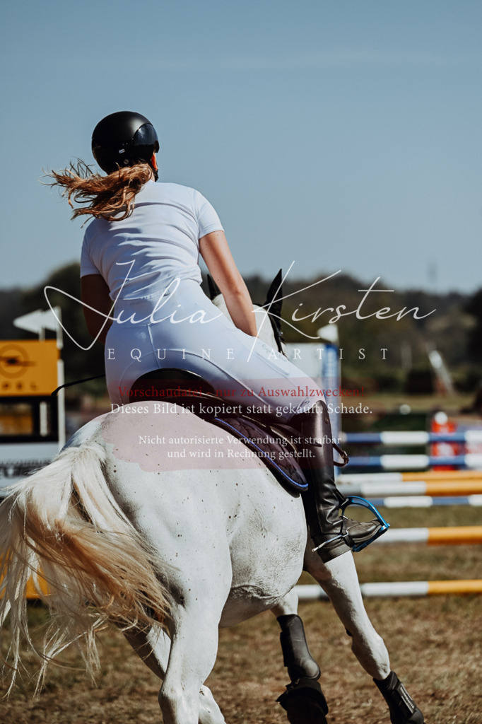 DSC_9612 | Pferde- und Turnierfotografie in Westsachsen. Pferdeportraits, Auftragszeichnungen und intuitive Kunst.