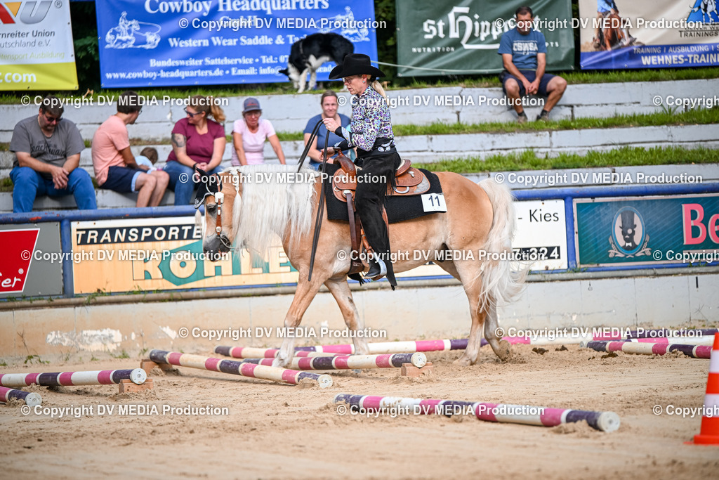 ZS1_3379 | dv-media-shop - Realisiert mit Pictrs.com