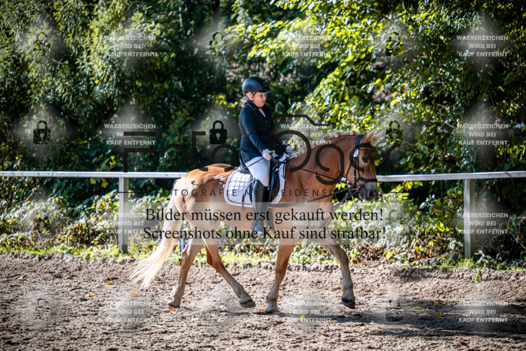 2026-10-Helle-20-4-0026 | Entdecke hochwertige Reitturnierfotos von Foto Oger. Professionell, emotional und authentisch – jetzt Lieblingsmomente im Shop bestellen.Deutschlandweite Turnierfotografie. - Realisiert mit Pictrs.com