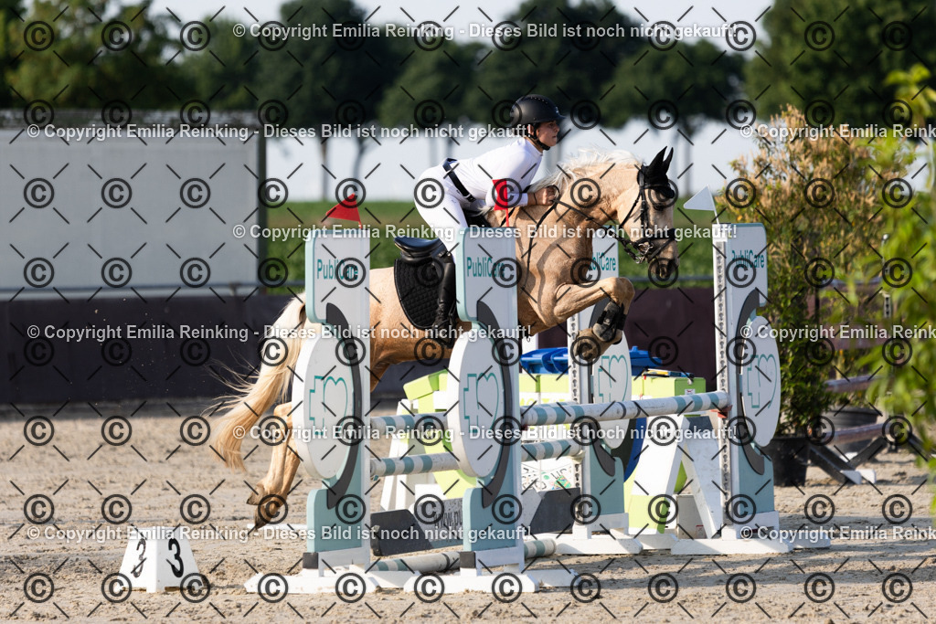 CL5A1485 | Emilia Reinking Fotografie - Realisiert mit Pictrs.com