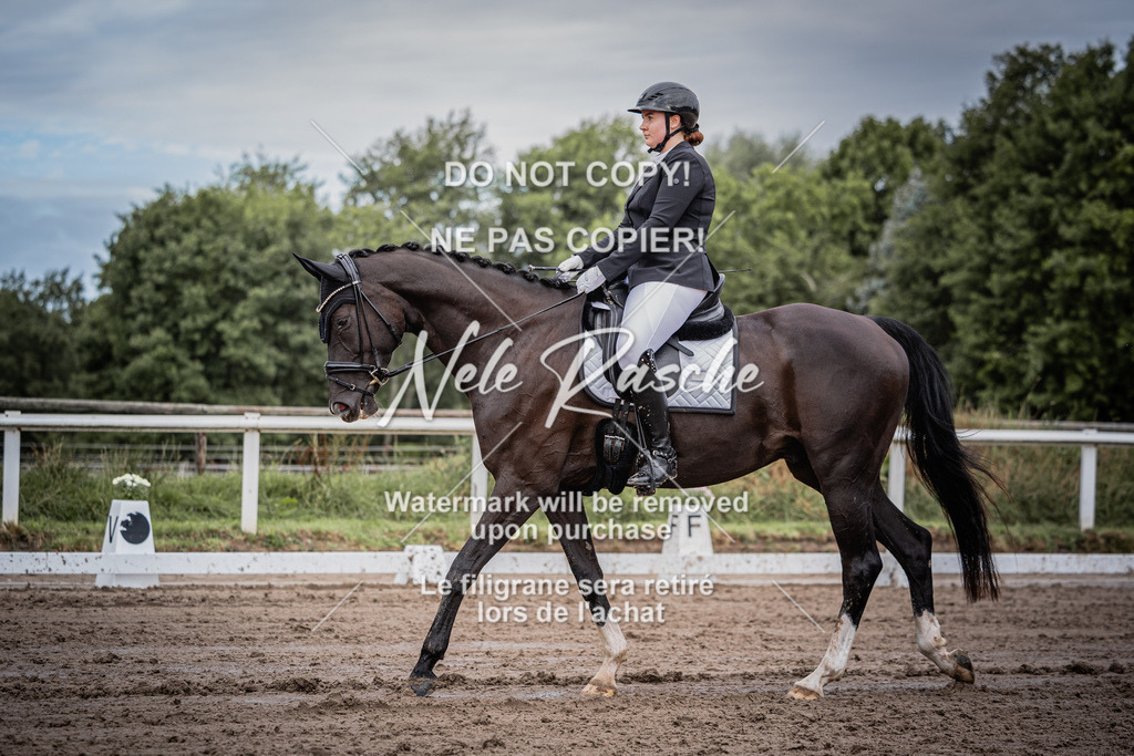nelerasche_DrEEde_05 | nelerasche