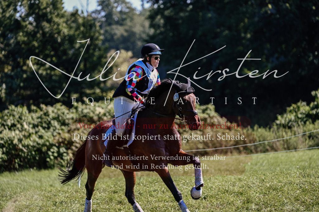 DSC_1584 | Pferde- und Turnierfotografie in Westsachsen. Pferdeportraits, Auftragszeichnungen und intuitive Kunst.