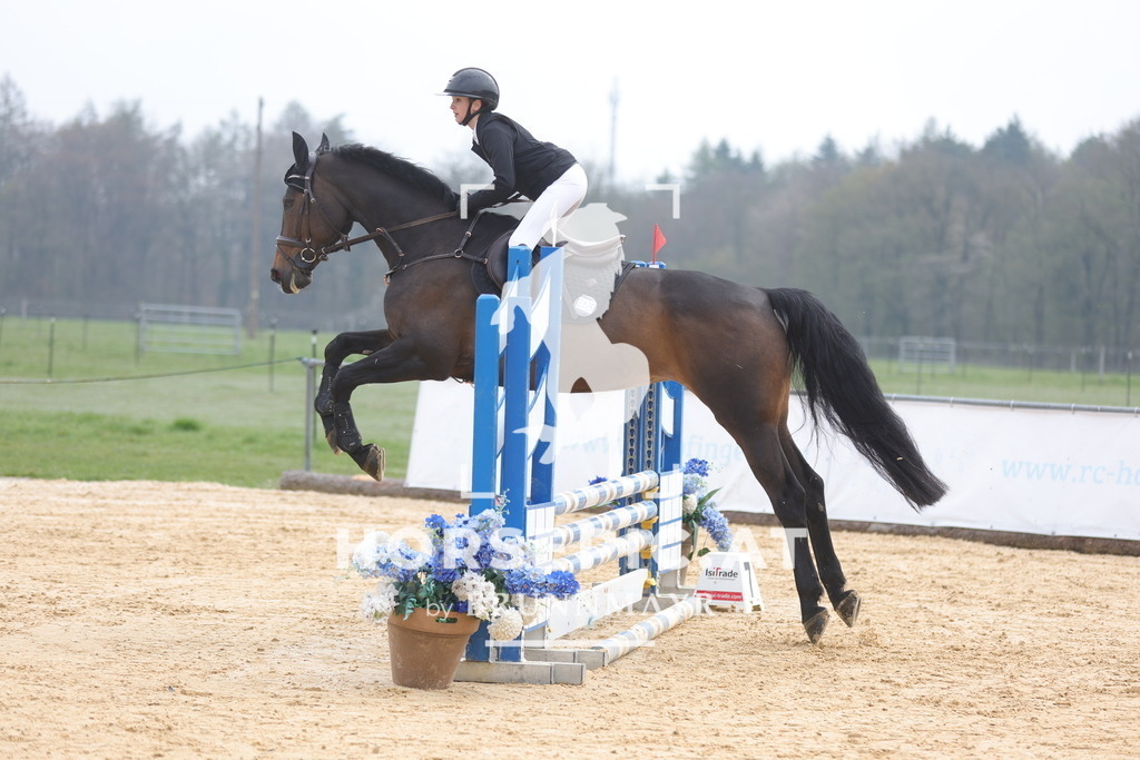 0P6A8881 | Willkommen bei Brunnmayr - Design & Fotografie – Ihrem Spezialisten für Reitturniere und Pferdeveranstaltungen in Oberösterreich, Salzburg und Bayern! Seit über 17 Jahren sind wir leidenschaftlich dabei.