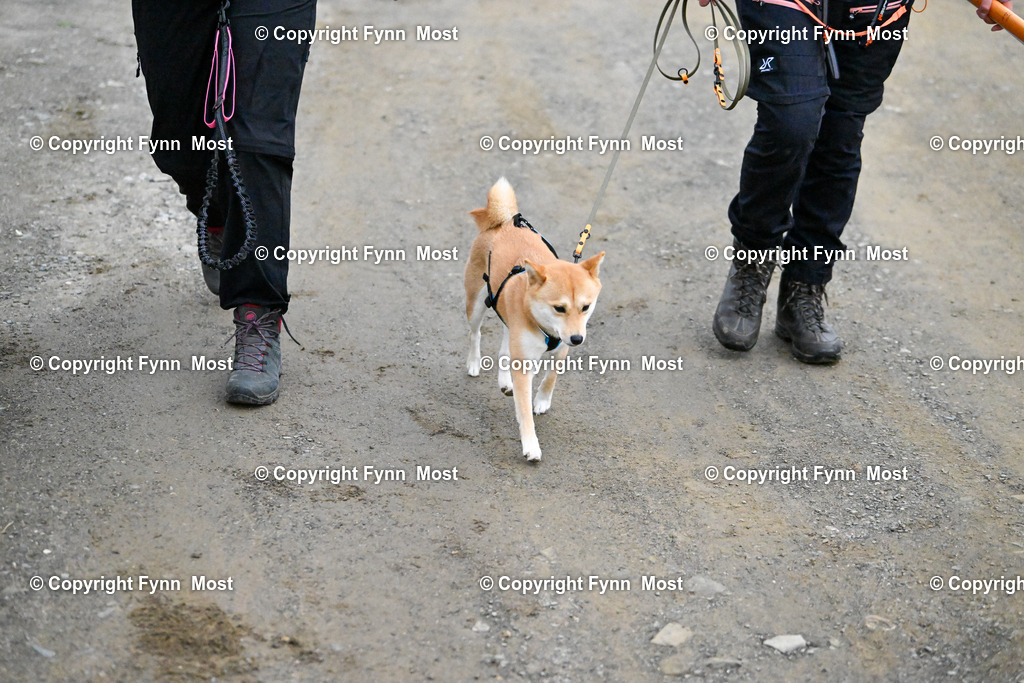 DSC_4698 | Hallo und herzlich Willkommen auf meiner Shop-Seite Fynn Most.

Ich wünsche Dir viel Spaß beim stöbern durch die Bilder, wenn Du Fragen hast oder Bilder vermisst, kannst du mir gerne eine Nachricht schreiben. - Realisiert mit Pictrs.com