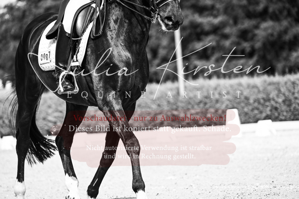 DSC_3302 | Pferde- und Turnierfotografie in Westsachsen. Pferdeportraits, Auftragszeichnungen und intuitive Kunst.