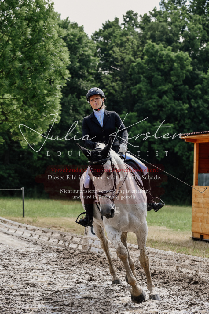 DSC_0361 | Pferde- und Turnierfotografie in Westsachsen. Pferdeportraits, Auftragszeichnungen und intuitive Kunst.