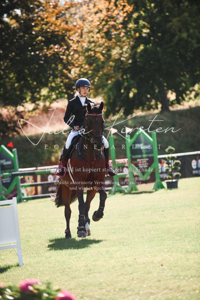 DSC_2383 | Pferde- und Turnierfotografie in Westsachsen. Pferdeportraits, Auftragszeichnungen und intuitive Kunst.