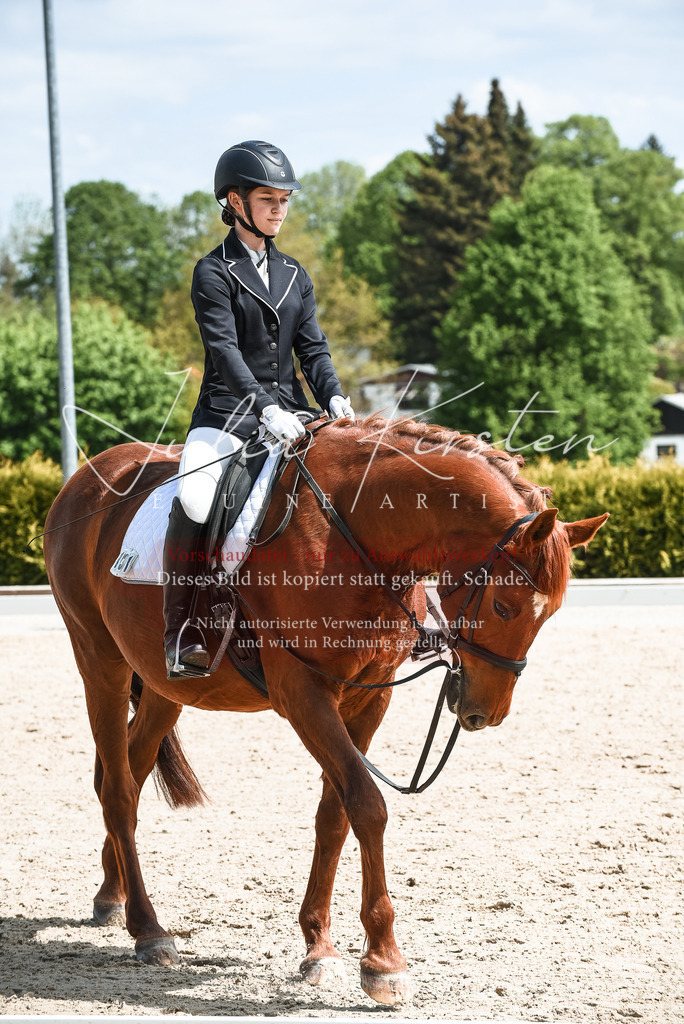 20230518_JK-Röhrsdorf-11-0471 | Pferde- und Turnierfotografie in Westsachsen. Pferdeportraits, Auftragszeichnungen und intuitive Kunst.