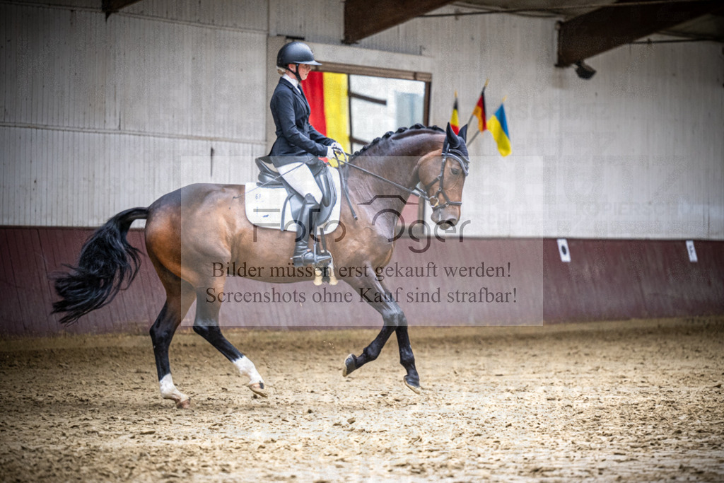 DOS_2629 | Reitturnier Lüdinghausen - Realisiert mit Pictrs.com