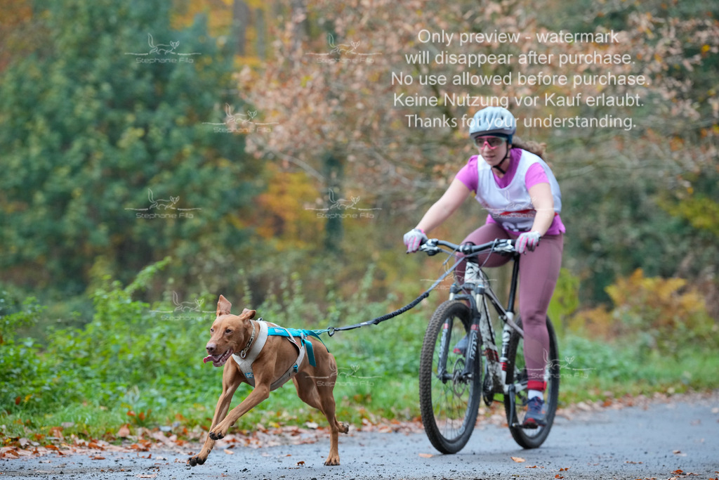 Bike_So-96 | stephaniefillaphotographie - Realisiert mit Pictrs.com