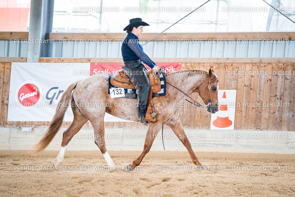 DSC02029 | Pferdegrafie