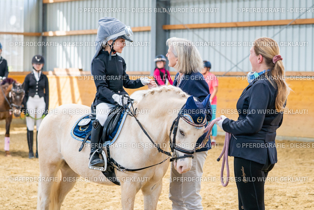 DSC00790 | Pferdegrafie