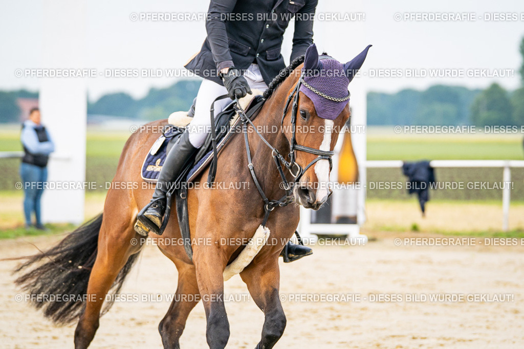 DSC08613 | Pferdegrafie