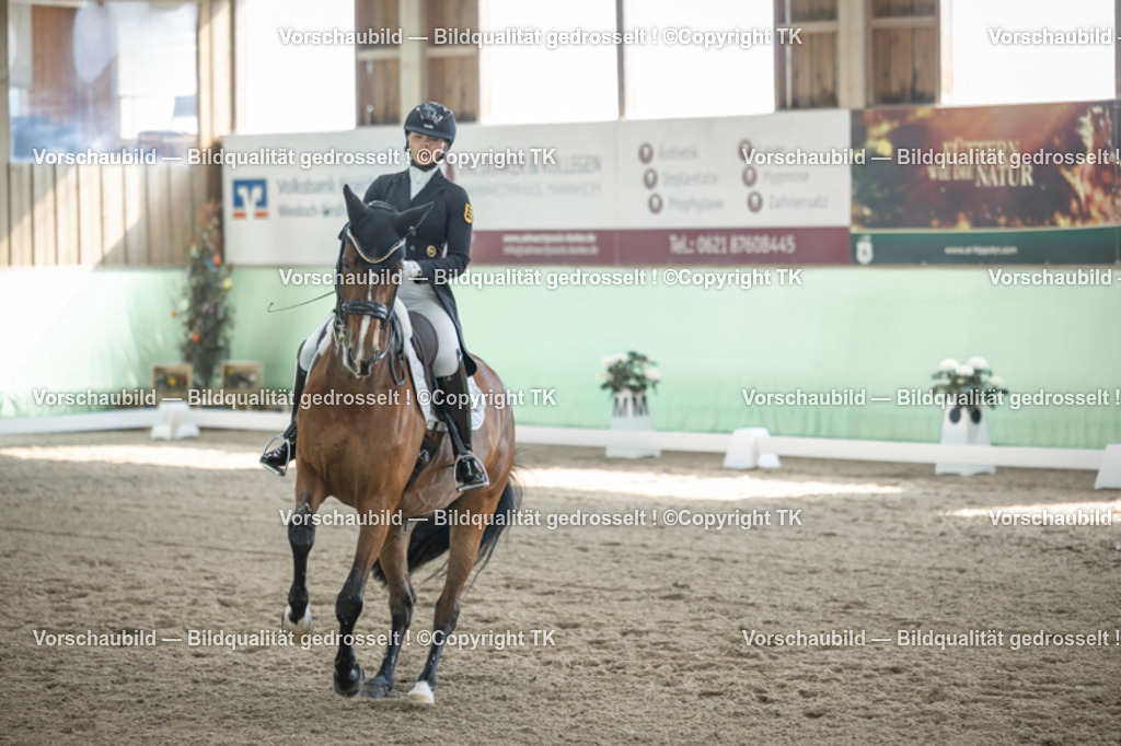 _D5A9535 | Emotionale Pferde- & People-Fotografie rund um Heidelberg, Leimen & Umgebung. Natürliche Fotos von Pferd, Mensch & Familie. Jetzt Termin sichern!