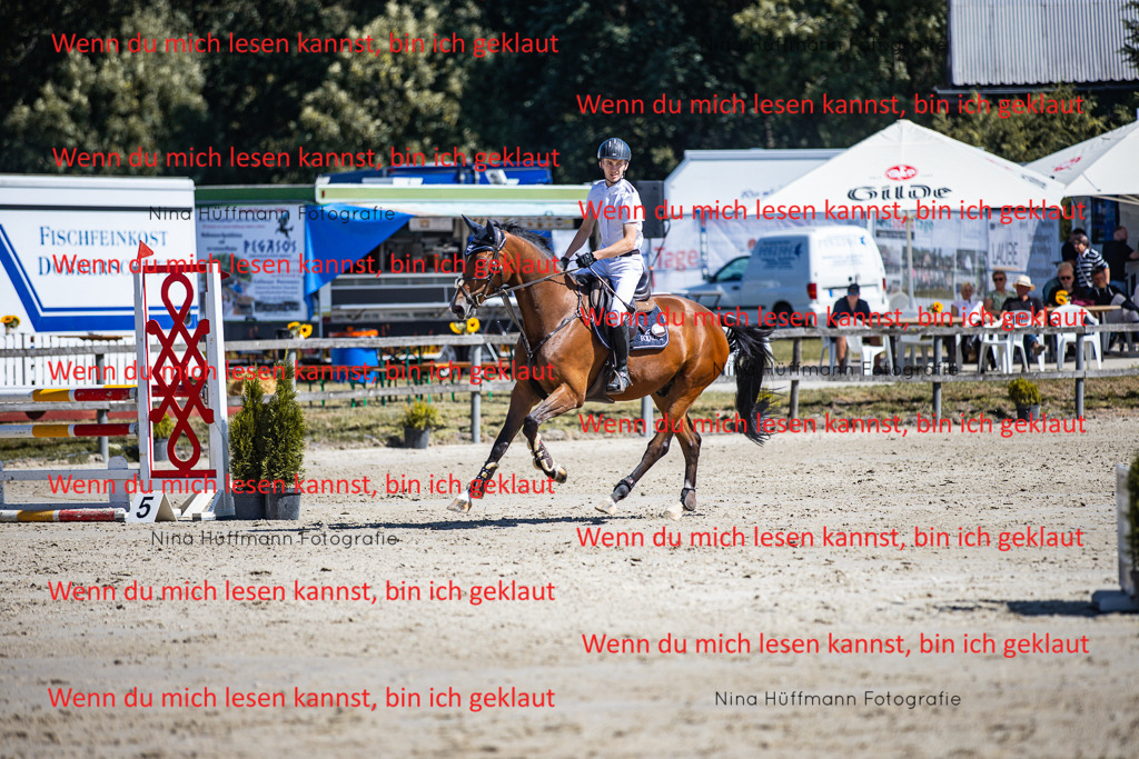 BK1A5490 | Turnierbilder Turnierfotos Nina Hüffmann Turnierfotografie Pferdefotografie Tierzeichnung Haustierzeichnung Pferdezeichnung Hundezeichnung Videograf  - Realisiert mit Pictrs.com