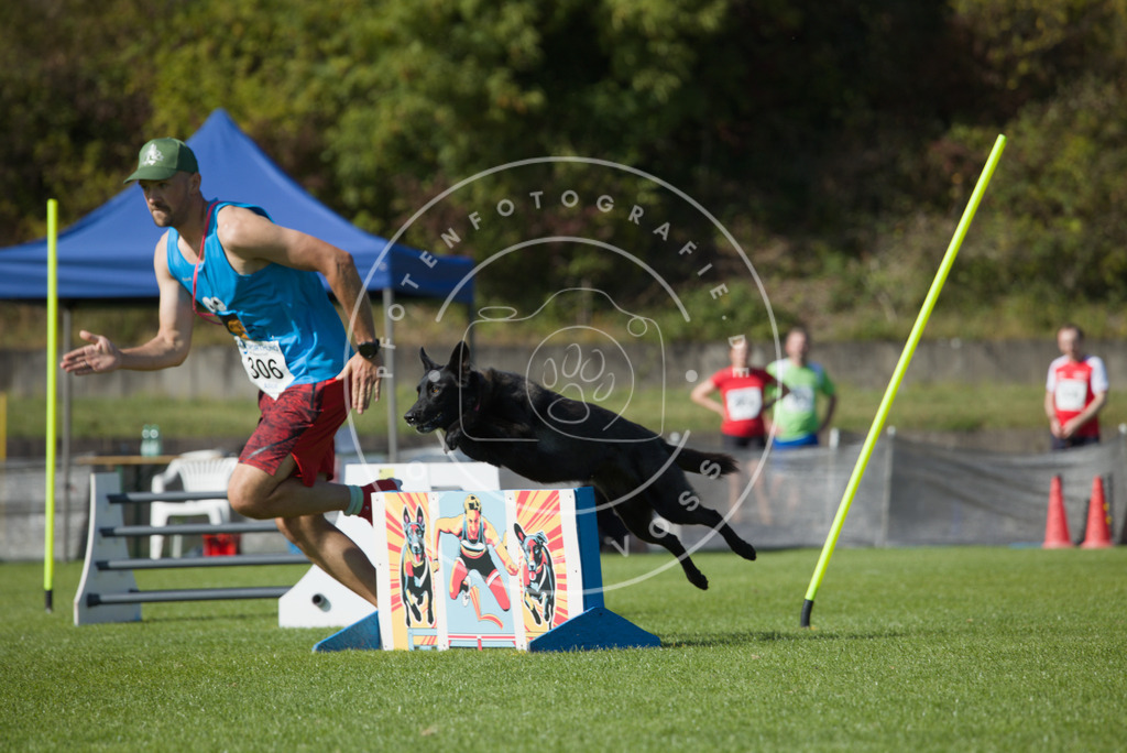 0L8A8420 | Hundefotografie, Tierfotograf, Pfotenfotografie, Fotoshooting Hund, Hunde Portrait, Hundesport, Hundeportraits, Heideshooting, Hunde, Sportfotograf, Hundefotograf, Turnierhundsport, THS,  - Realisiert mit Pictrs.com