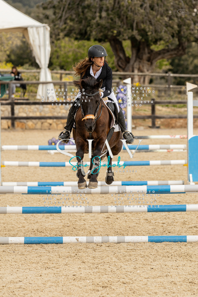 IMG_4550 | s-jay-photography - Realisiert mit Pictrs.com