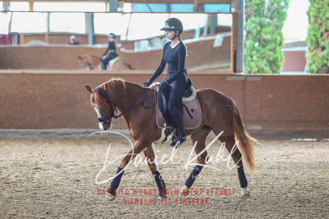 DKP42591 | Turniersportfotografie; Pferdefotografie; Dressurfotografie