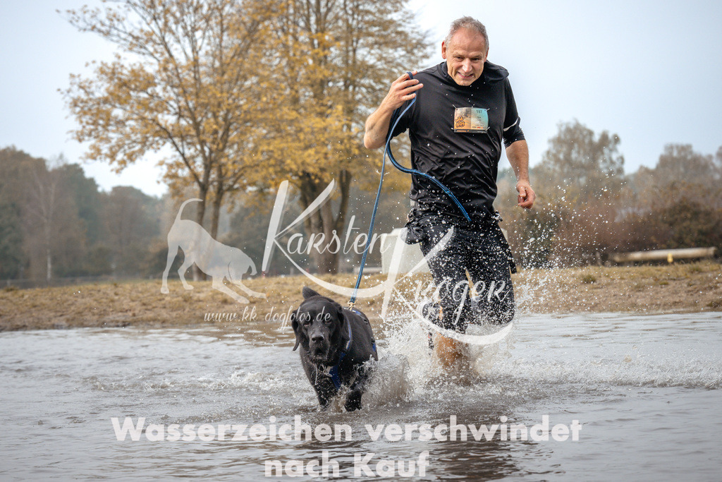 1115_ZZ93629 | kk-dogfotos