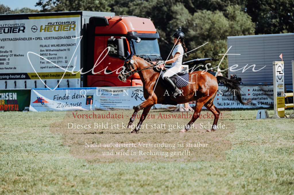 DSC_6692 | Pferde- und Turnierfotografie in Westsachsen. Pferdeportraits, Auftragszeichnungen und intuitive Kunst.