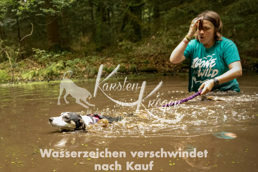 1210_ZZ92933-Bearbeitet | kk-dogfotos