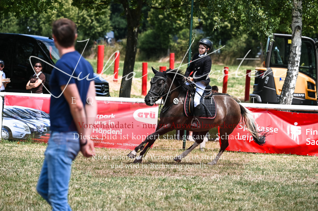 DSC_9767 | Pferde- und Turnierfotografie in Westsachsen. Pferdeportraits, Auftragszeichnungen und intuitive Kunst.