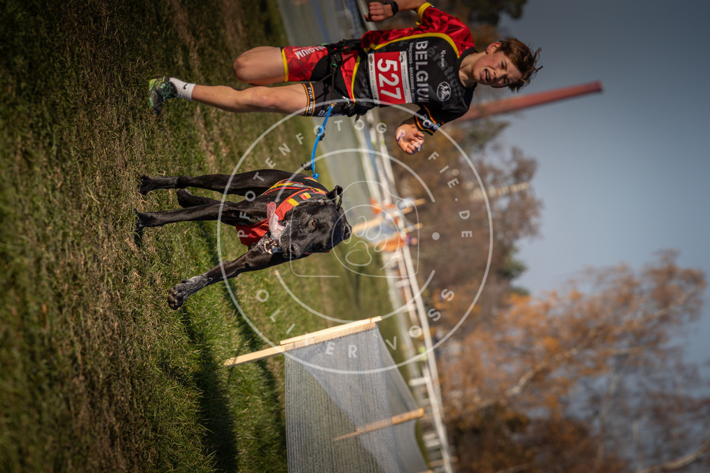 CaniXpix_0L8A8754 | Hundefotografie, Tierfotograf, Pfotenfotografie, Fotoshooting Hund, Hunde Portrait, Hundesport, Hundeportraits, Heideshooting, Hunde, Sportfotograf, Hundefotograf, Turnierhundsport, THS,  - Realisiert mit Pictrs.com