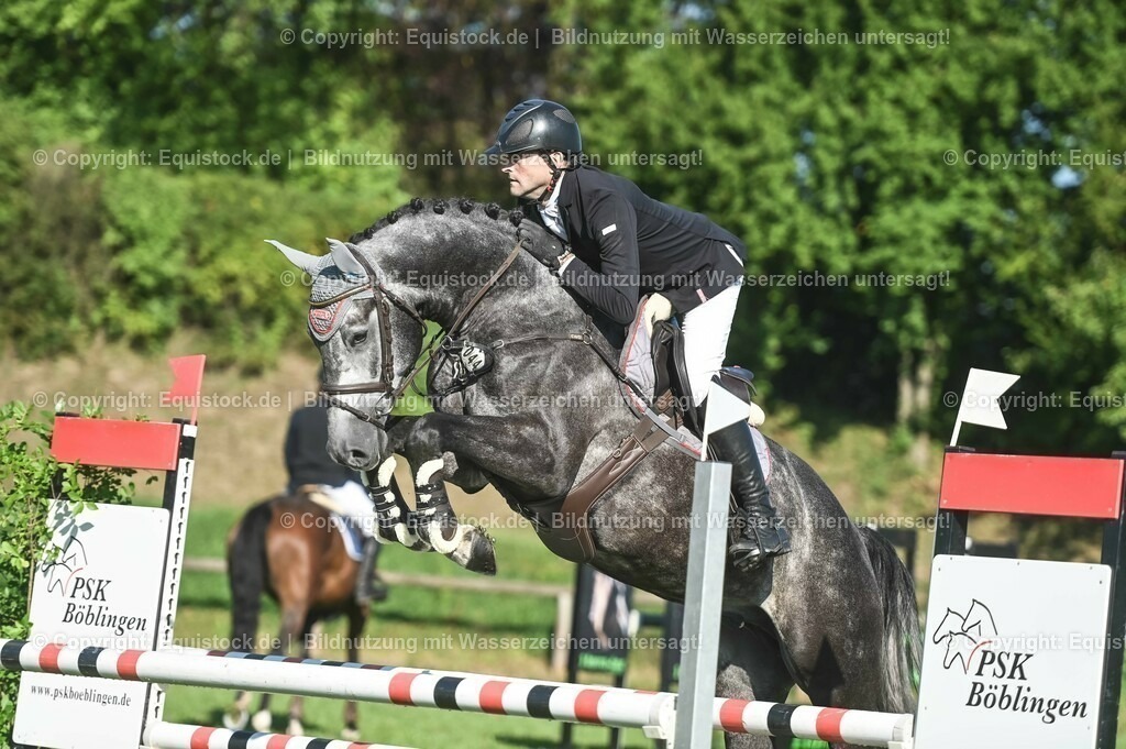 20230908_14-15_Springpferde-A_0084 | equistock