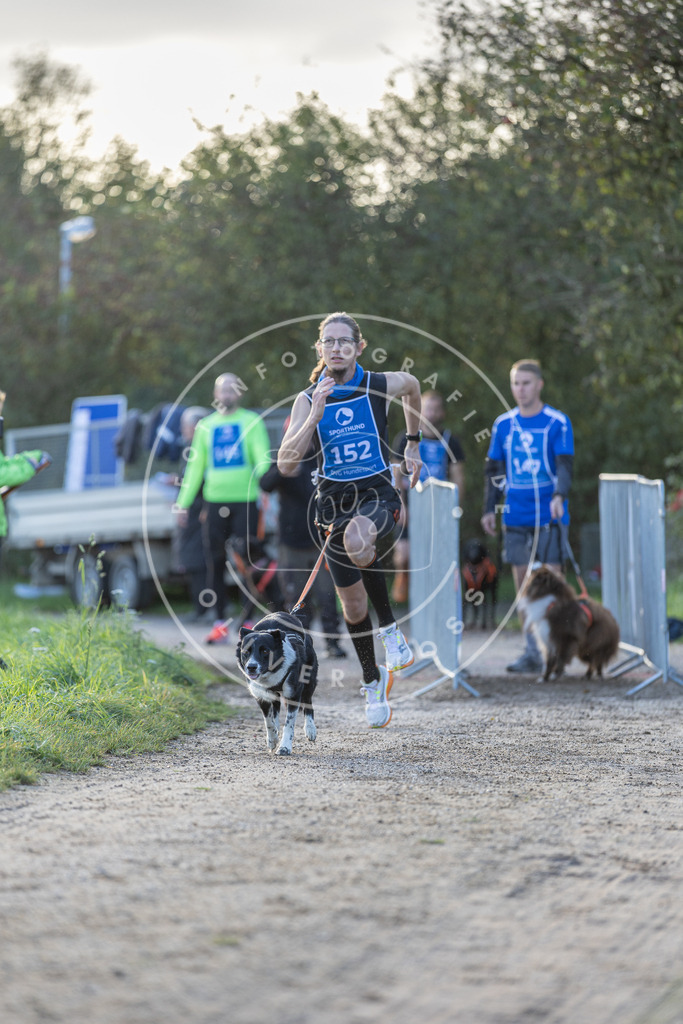Pfotenfotografie.de_DV3A2729 | Hundefotografie, Tierfotograf, Pfotenfotografie, Fotoshooting Hund, Hunde Portrait, Hundesport, Hundeportraits, Heideshooting, Hunde, Sportfotograf, Hundefotograf, Turnierhundsport, THS, canicross - Realisiert mit Pictrs.com