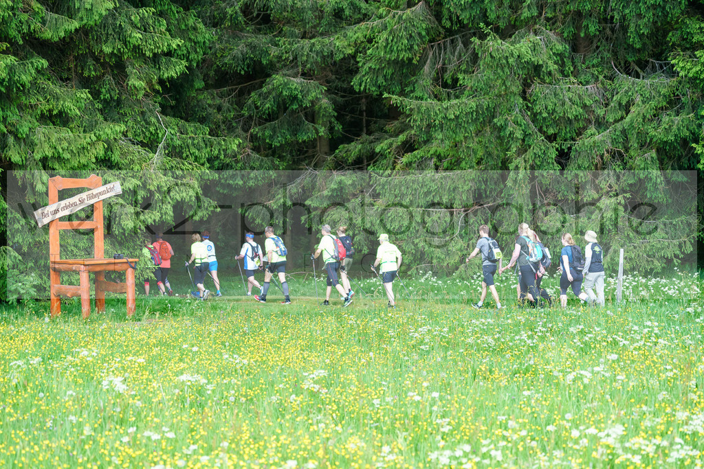 Rennsteiglauf 2018 | Neuhaus/Rwg. - Schmiedefeld am 26. Mai 2018