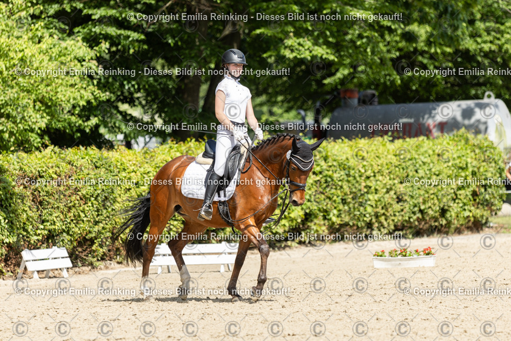 CL5A0600 | Emilia Reinking Fotografie - Realisiert mit Pictrs.com