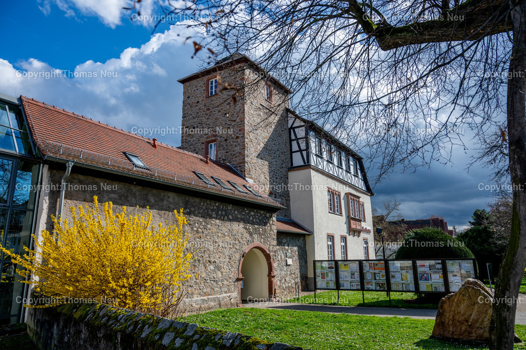 DSC_9890 | Die älteste Stadt an der Hessischen Bergstraße ist Zwingenberg. Die historische Altstadt mit schmucken Fachwerkhäusern lädt zum Verweilen ein. Hier der Stadtpark im Frühling mit dem Rathaus, im "Schlößchen"  einem alten Adelssitz, Bild: Thomas Neu