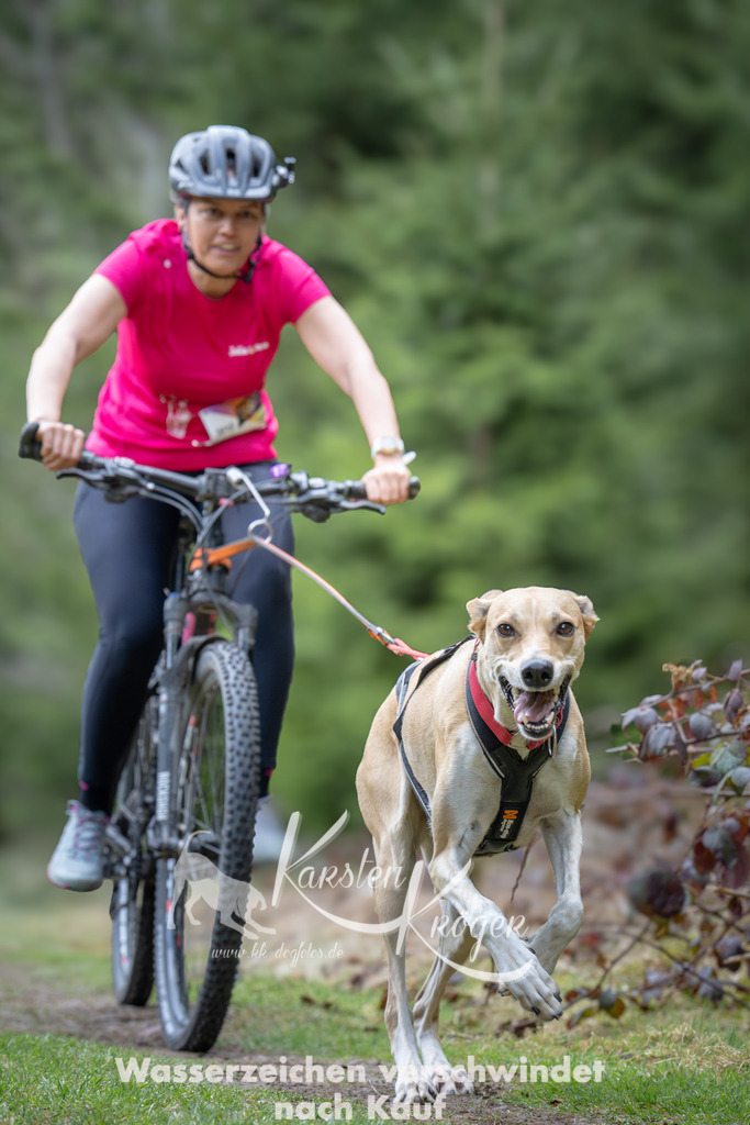 1310_ZZ93815 | kk-dogfotos