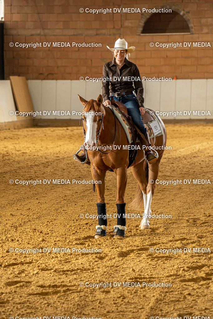 MIT00651 | dv-media-shop - Realisiert mit Pictrs.com