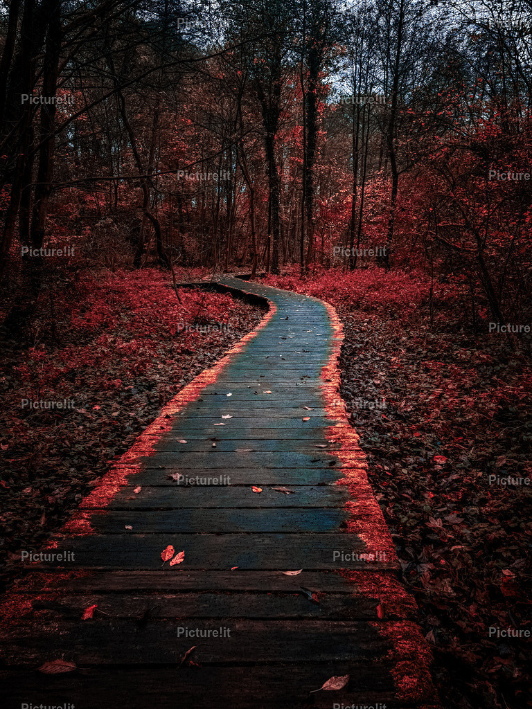 Der Weg | Entdecken Sie unsere vielfältige Auswahl an digitalen Panoramen und hochwertigen Fotoprodukten. Ob als sofortiger Download für kreative Projekte oder als exklusives Fotoprodukt für Ihr Zuhause – unsere einzigartigen Aufnahmen bieten perfekte Qualität.  - Realisiert mit Pictrs.com