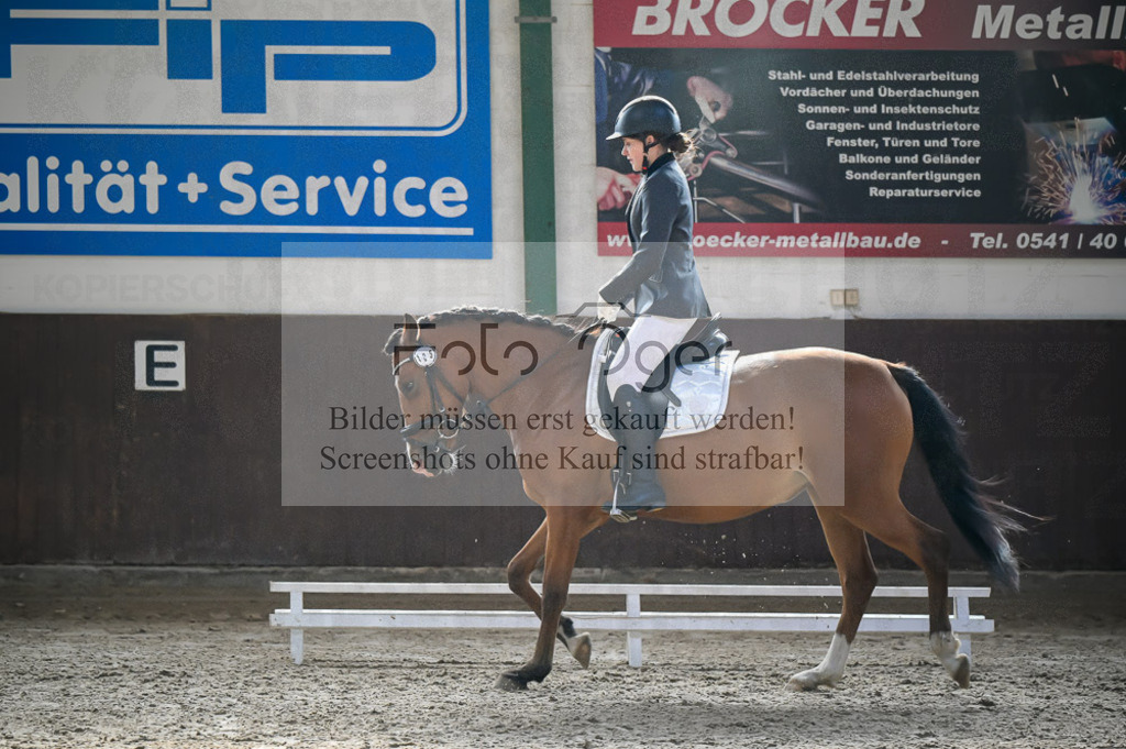 Reitturnier Voxtrup | Entdecke hochwertige Reitturnierfotos von Foto Oger. Professionell, emotional und authentisch – jetzt Lieblingsmomente im Shop bestellen.Deutschlandweite Turnierfotografie. - Realisiert mit Pictrs.com