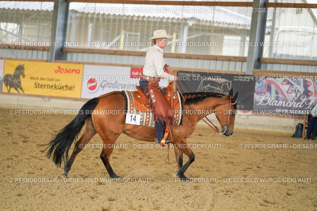 DSC03083 | Pferdegrafie