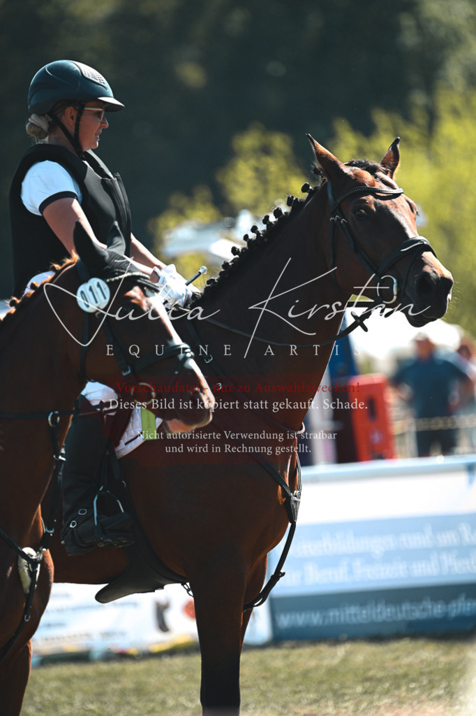 DSC_8435-2 | Pferde- und Turnierfotografie in Westsachsen. Pferdeportraits, Auftragszeichnungen und intuitive Kunst.