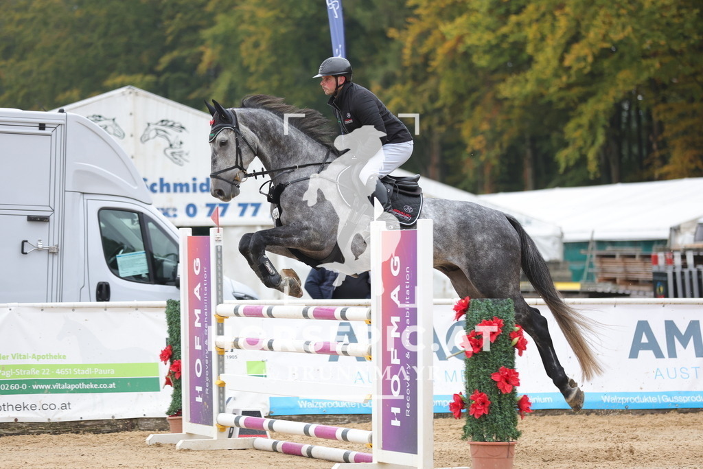 0P6A6569 | Willkommen bei Brunnmayr - Design & Fotografie – Ihrem Spezialisten für Reitturniere und Pferdeveranstaltungen in Oberösterreich, Salzburg und Bayern! Seit über 17 Jahren sind wir leidenschaftlich dabei.