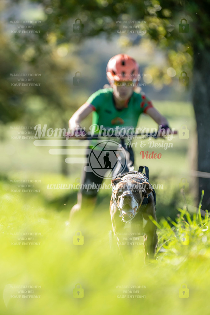 MompixPhotography_20TSB_E3_DS1-27 | PayLife