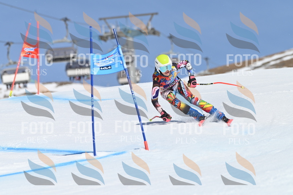 BGV_9527 | holidayphoto