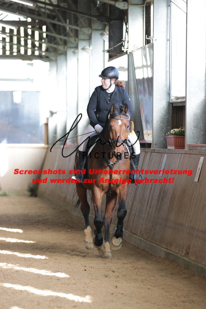 IMG_3071 | lmwpictures - Realisiert mit Pictrs.com