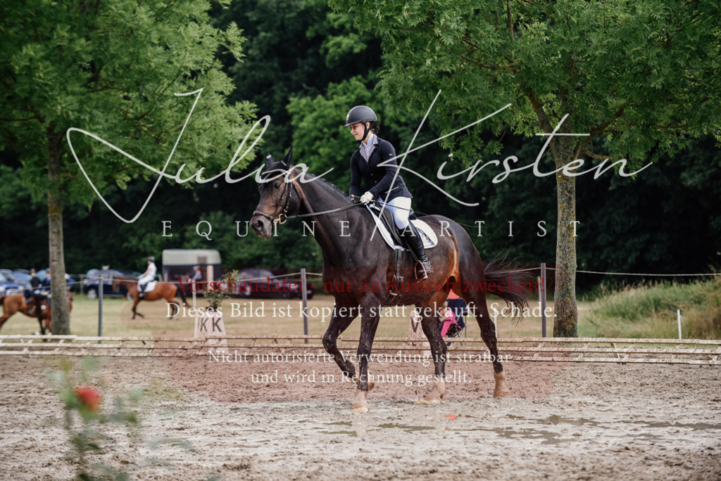DSC_0628 | Pferde- und Turnierfotografie in Westsachsen. Pferdeportraits, Auftragszeichnungen und intuitive Kunst.