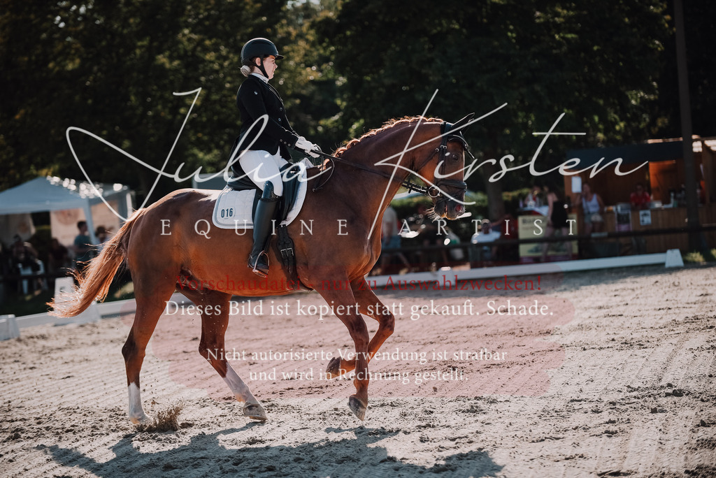 DSC_0447 | Pferde- und Turnierfotografie in Westsachsen. Pferdeportraits, Auftragszeichnungen und intuitive Kunst.